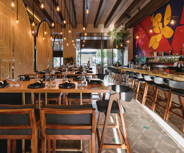Proyecto Hacienda Teya (Paseo 60) / Mérida, Yucatán – Ofindustrias