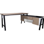 Roble Santana-Vision