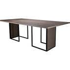 Roble Santana-Vision