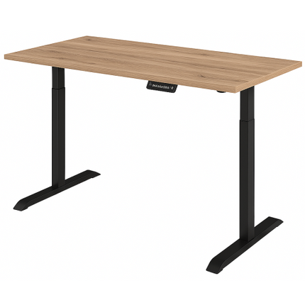 Mesa de Trabajo con Altura Ajustable de 1.20 m