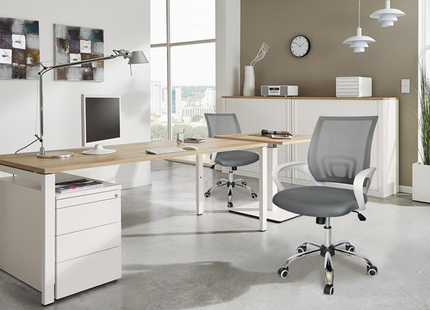 Silla Ejecutiva Ecochair Gris