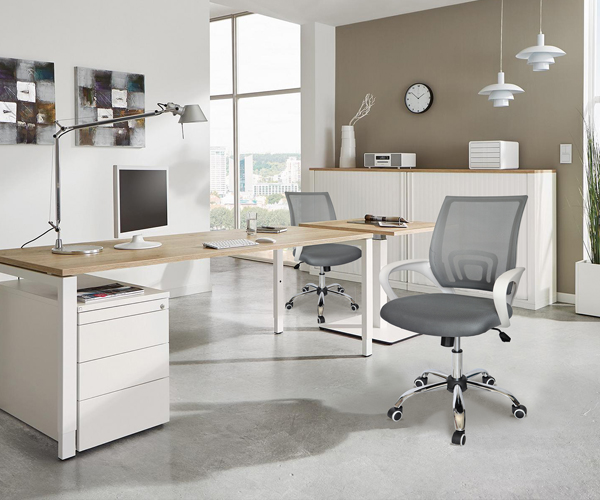 Silla Ejecutiva Ecochair Gris